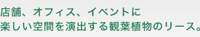 店舗、オフィス、イベントに楽しい空間を演出する観葉植物のリース。