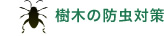 樹木の防虫対策