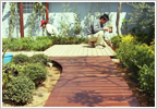 屋上緑化（企業緑化）花壇・プランテーション