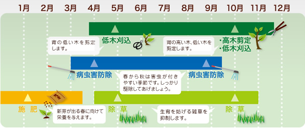 年間管理表イメージ