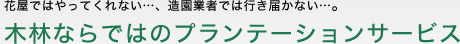 花屋ではやってくれない…、造園業者では行き届かない…。木林ならではのプランテーションサービス