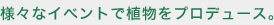 様々なイベントで植物をプロデュース。