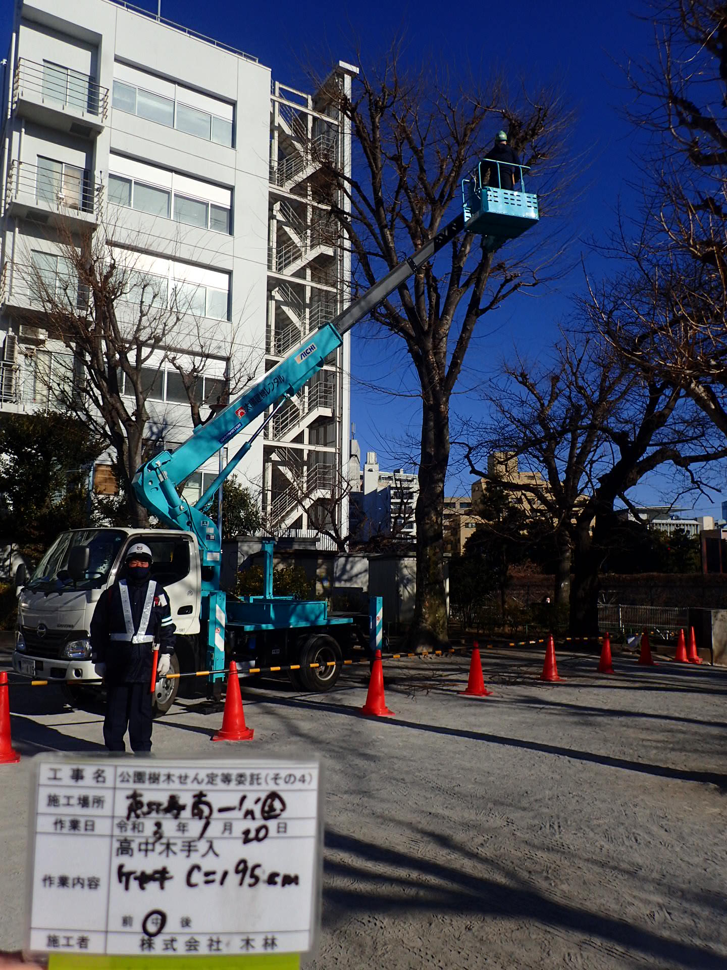 公園樹木せん定等委託（その４）