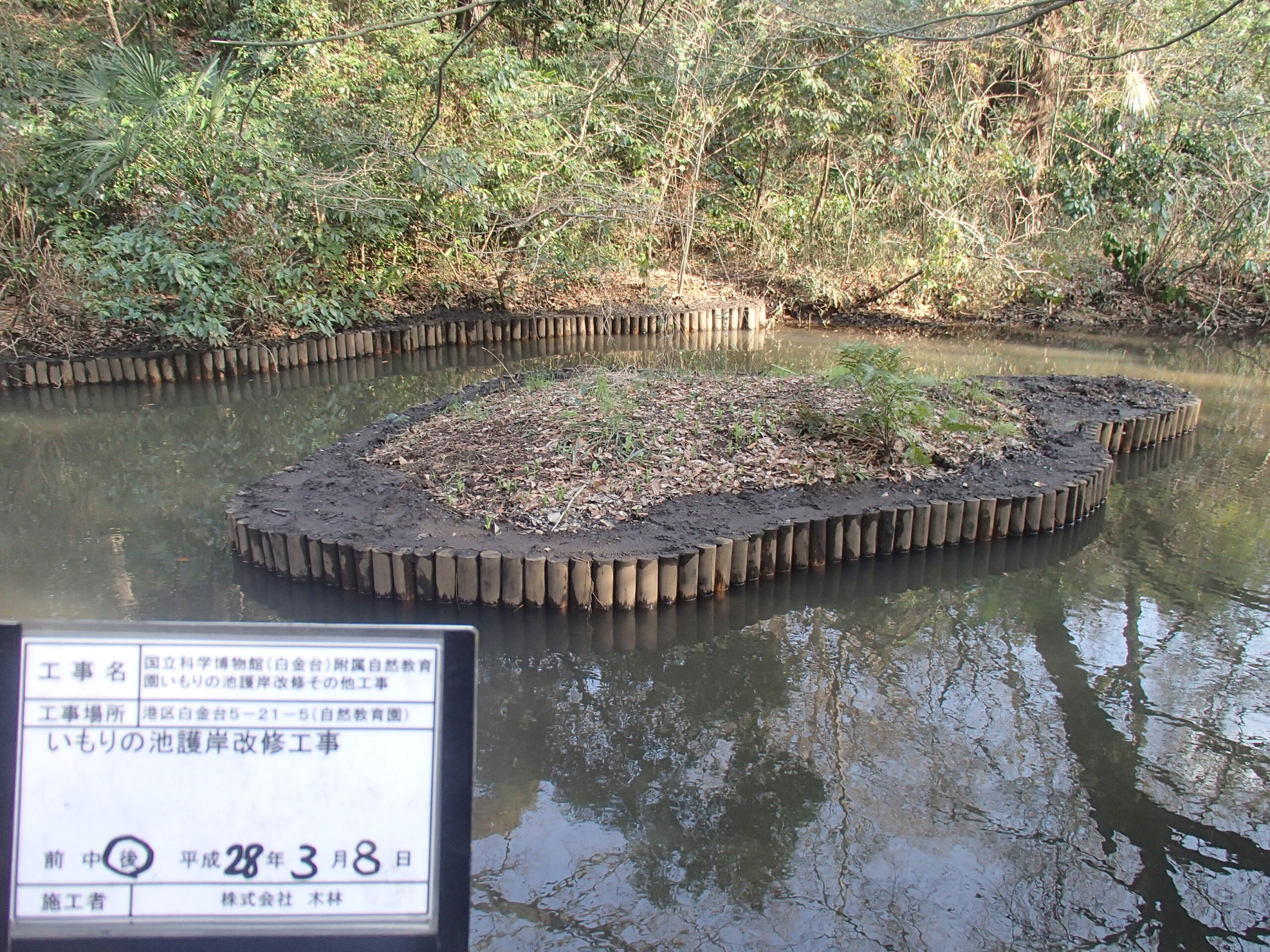 国立科学博物館（白金台）附属自然教育園いもりの池護岸改修その他工事