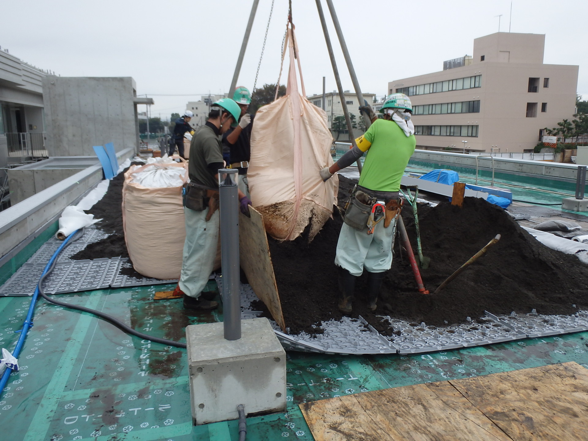 神奈川県内某市庁舎屋上緑化工事