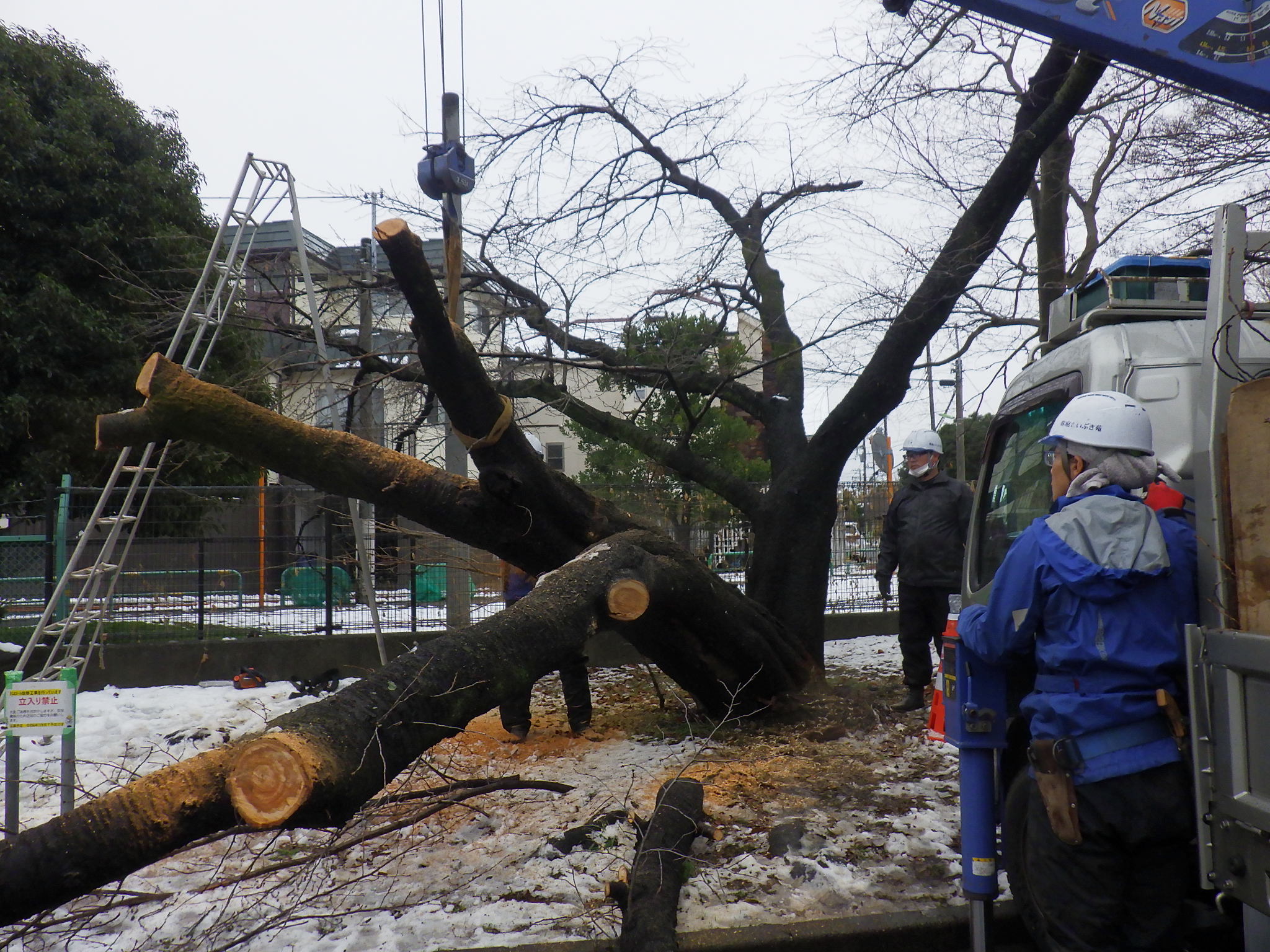 祖師谷公園雪害対策